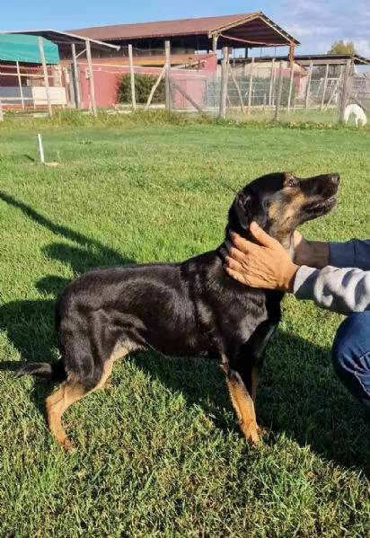 Tac giovanissima piccola e dolce | Foto 6