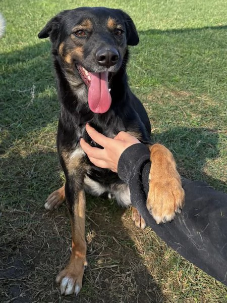 Tac giovanissima piccola e dolce | Foto 5