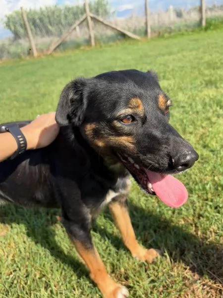 Tac giovanissima piccola e dolce | Foto 4