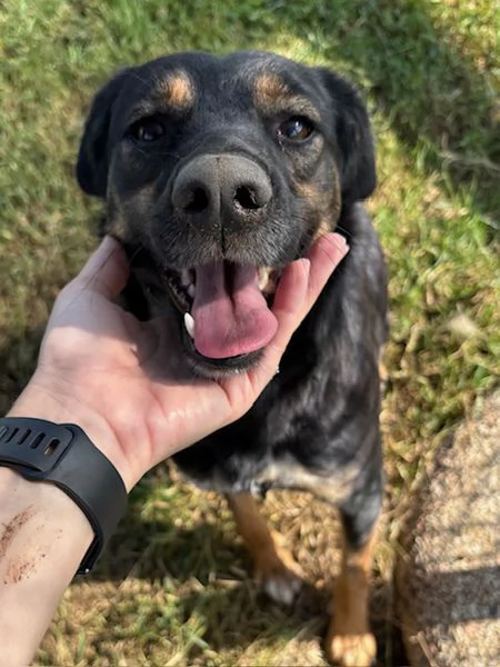 Tac giovanissima piccola e dolce | Foto 3