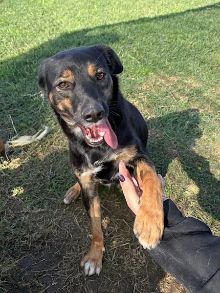 Tac giovanissima piccola e dolce | Foto 2