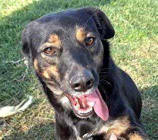 Tac giovanissima piccola e dolce