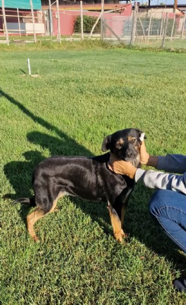 Tac giovanissima piccola e dolce | Foto 1