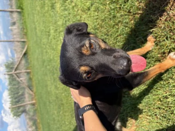 Tac giovanissima piccola e dolce | Foto 0