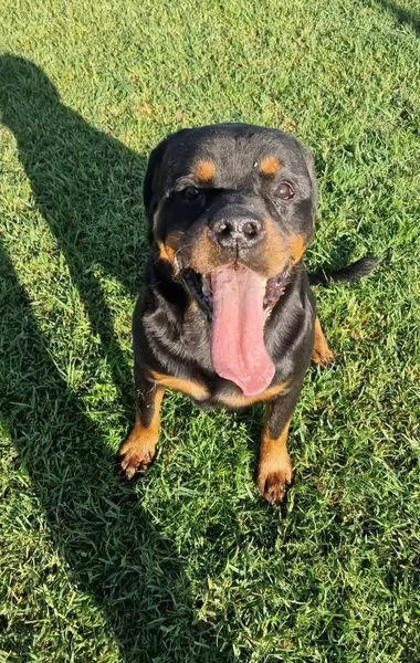 Aaron un cuore grande come lui | Foto 4