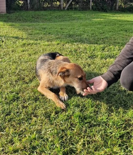 SUSY  UN PICCOLO TESORO IN ATTESA DI AMORE | Foto 5