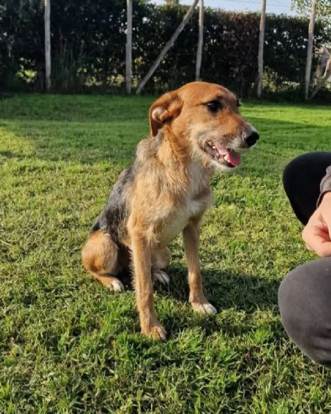 SUSY  UN PICCOLO TESORO IN ATTESA DI AMORE | Foto 4