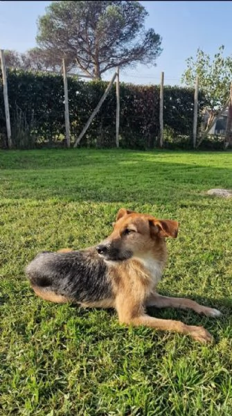 SUSY  UN PICCOLO TESORO IN ATTESA DI AMORE | Foto 3