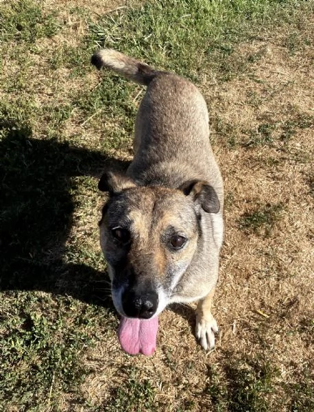 FRANZ regaliamogli un futuro | Foto 6