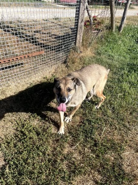 FRANZ regaliamogli un futuro | Foto 5