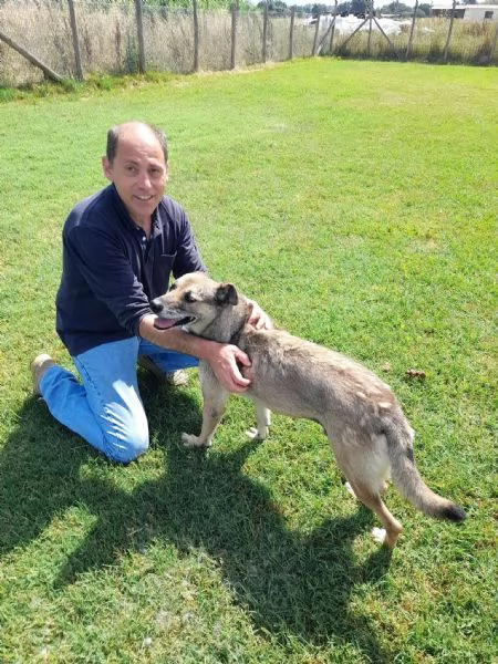 FRANZ regaliamogli un futuro | Foto 4