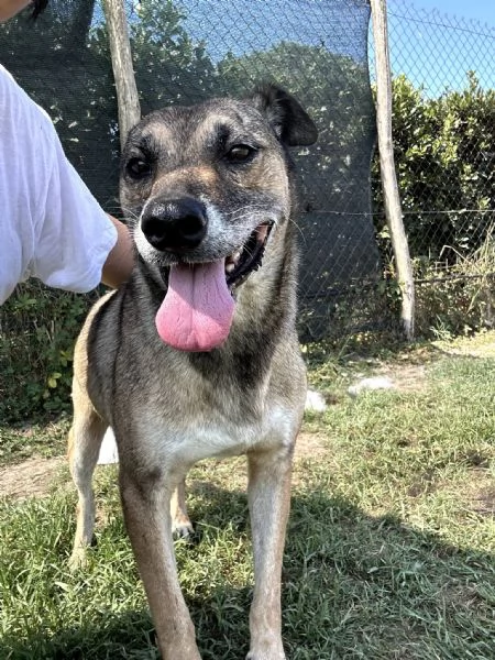 FRANZ regaliamogli un futuro | Foto 3