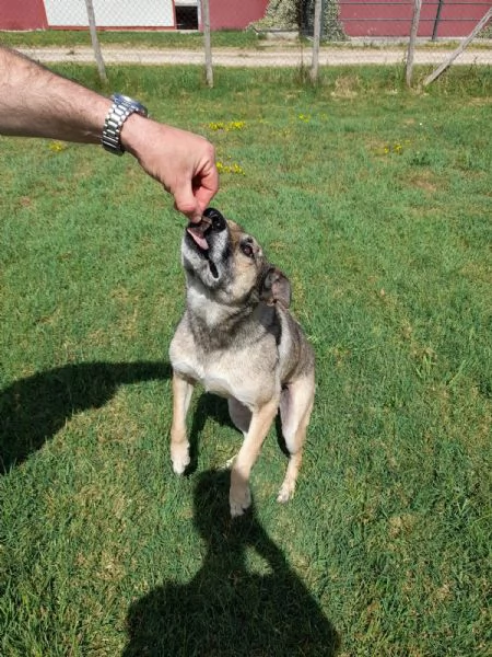 FRANZ regaliamogli un futuro | Foto 2