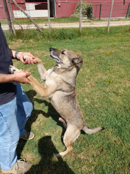 FRANZ regaliamogli un futuro | Foto 1