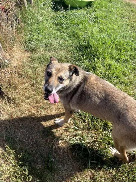 FRANZ regaliamogli un futuro | Foto 0