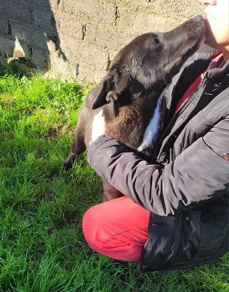 Bibbi lentusiasmo del suo essere ti prende il cuore  | Foto 5