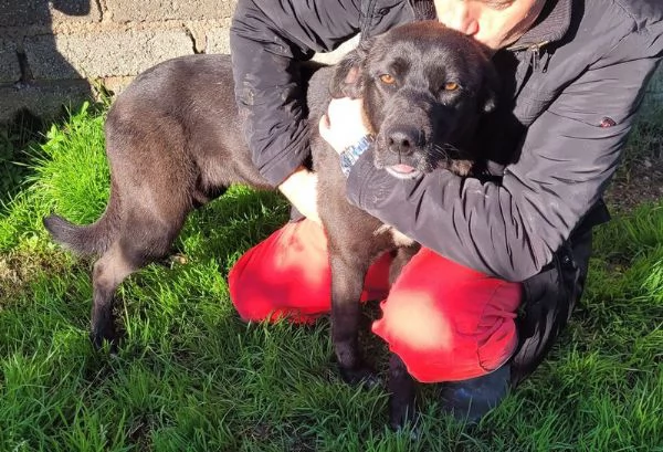 Bibbi lentusiasmo del suo essere ti prende il cuore  | Foto 2