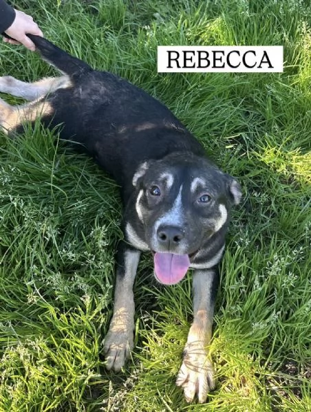 REBECCA cucciolandia | Foto 2