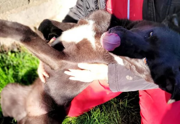 Bibbi la gioia del suo essere ti prende il cuore  | Foto 3