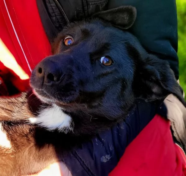 Bibbi la gioia del suo essere ti prende il cuore 