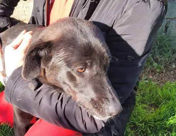 Bibbi la gioia del suo essere ti prende il cuore  | Foto 2