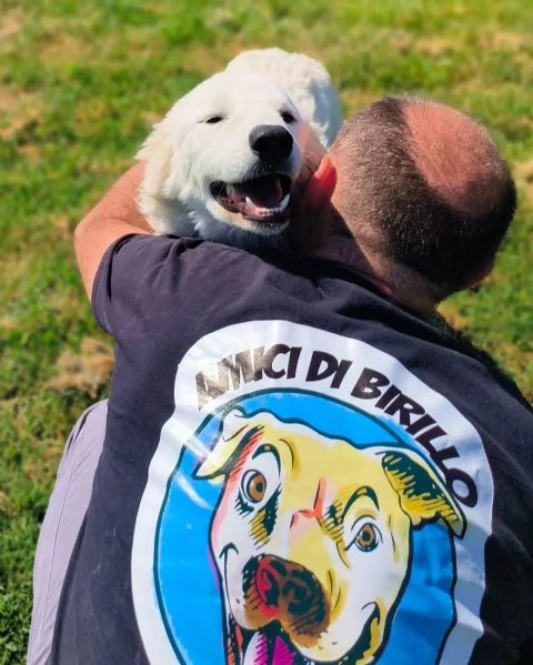 SVEN cucciolone di pastore abruzzese | Foto 1