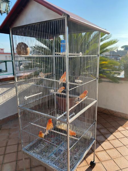 Komma Security Cartello Divieto Per Cani – Proprietà Privata – Niente Deiezioni Canine – Giallo/Rosso – Resistente Alle Intemperie Per Esterno