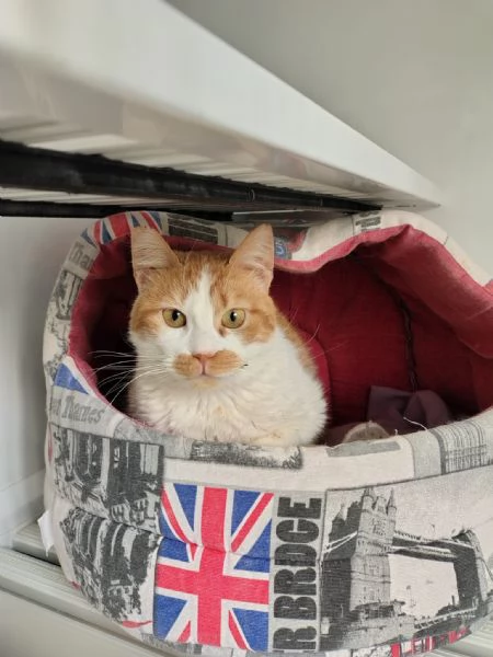 Una famiglia per Lea | Foto 4