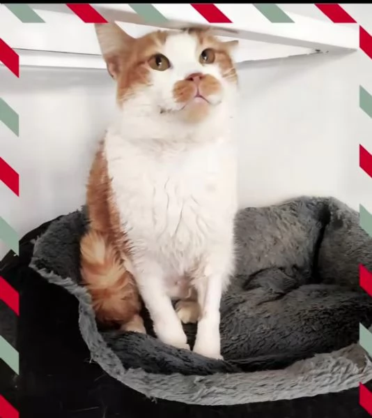 Una famiglia per Lea | Foto 1