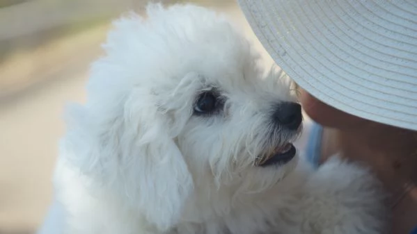 Il Regalo di Natale Piugrave Magico Che Aspettavi un Batuffolo dAmore | Foto 4