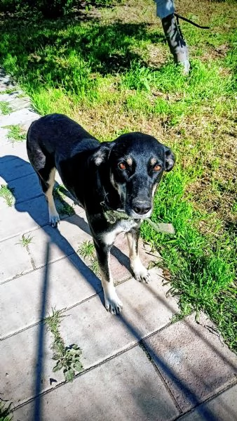 Nelly la simpaticona  | Foto 2