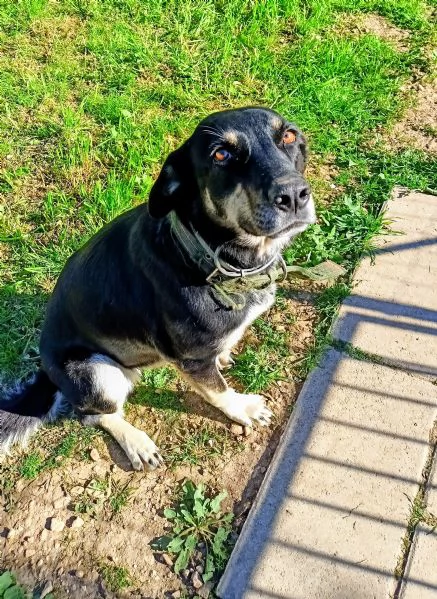 Nelly la simpaticona  | Foto 0