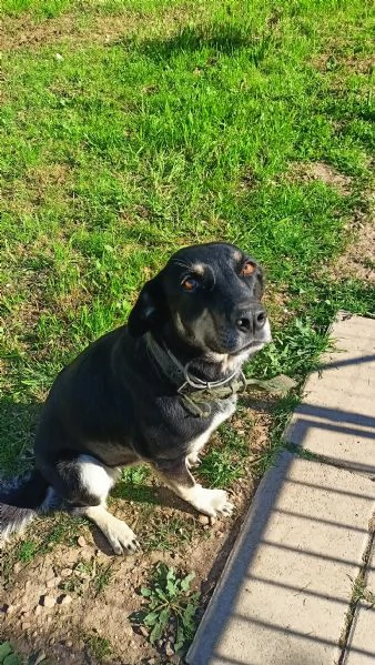 Nelly la simpaticona 