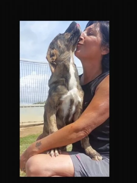 KIRA cucciola 4 mesi  e mezzo coccolona e tenera cerca adozione | Foto 1