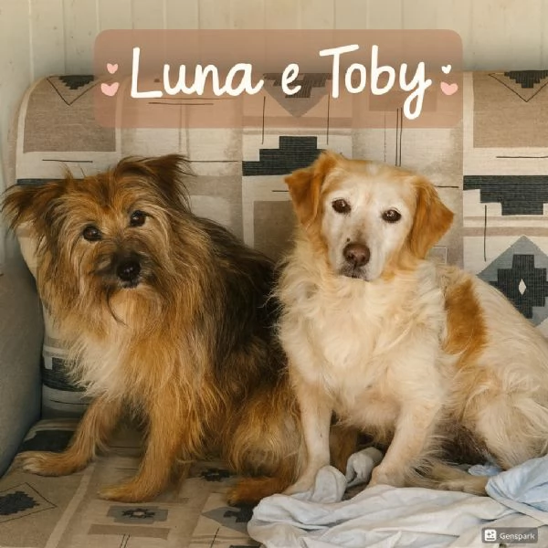 Luna e Toby cercano adozione rimasti soli dopo la morte del loro papagrave umano