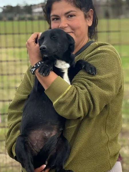 Noir dolce cagnolina 1 anno taglia piccola cerca casa  | Foto 1