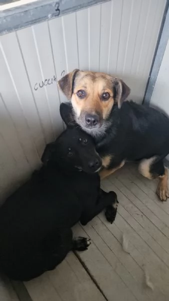 Andrea timido e dolce con tutti | Foto 2