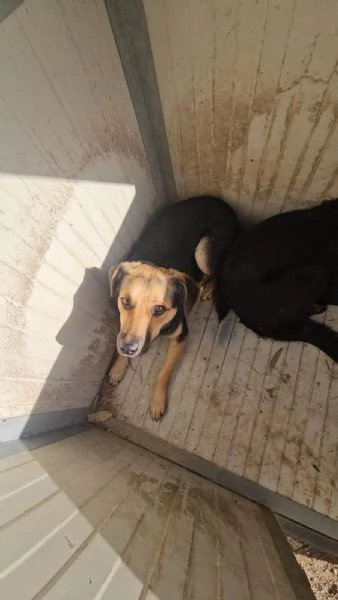 Andrea timido e dolce con tutti | Foto 0