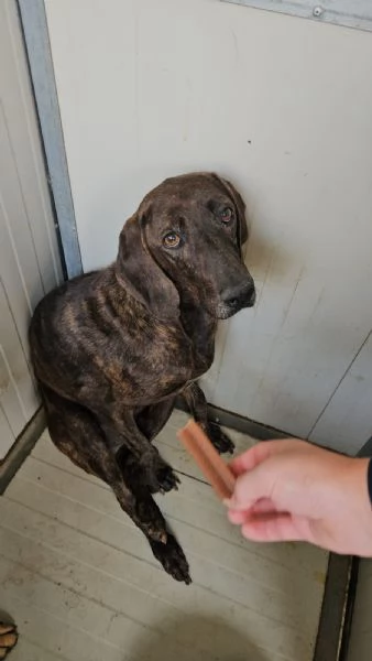 Michele adozione del cuore | Foto 2