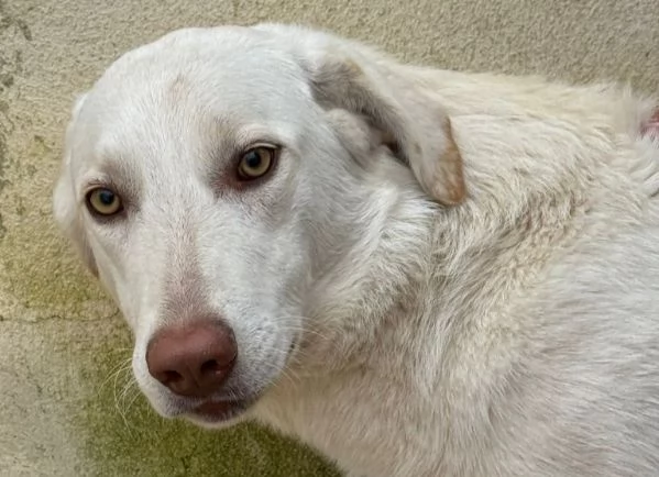 Chiara 1 anno socievole ed equilibrata