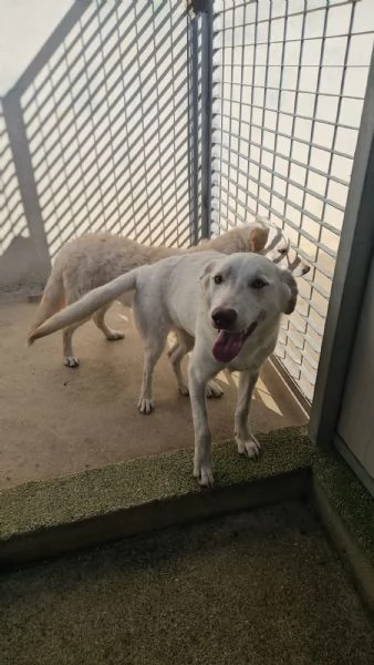 Chiara 1 anno socievole ed equilibrata