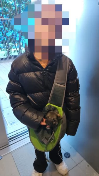 Rosina abbandonata al freddo in una aiuola | Foto 3