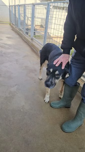 Fabrizia taglia grande dolce ed equilibrata  | Foto 4