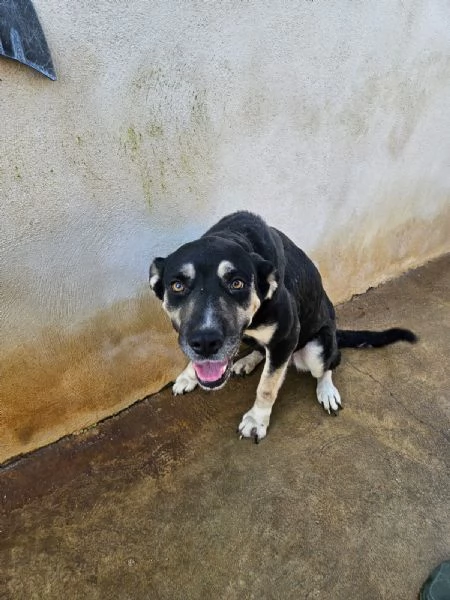 Fabrizia taglia grande dolce ed equilibrata  | Foto 2