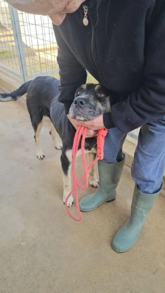 Fabrizia taglia grande dolce ed equilibrata  | Foto 1