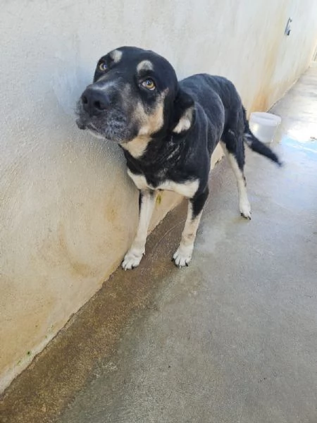 Fabrizia taglia grande dolce ed equilibrata 