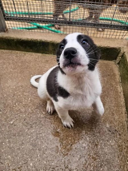 Olga 3 mesi taglia grande 