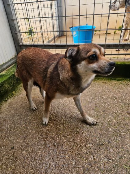 Jenna taglia piccola super dolce  | Foto 2