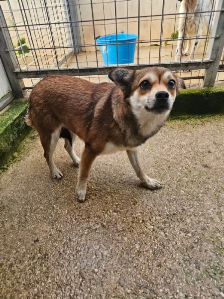 Jenna taglia piccola super dolce 