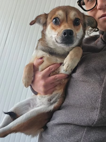 Jenna taglia piccola super dolce  | Foto 0